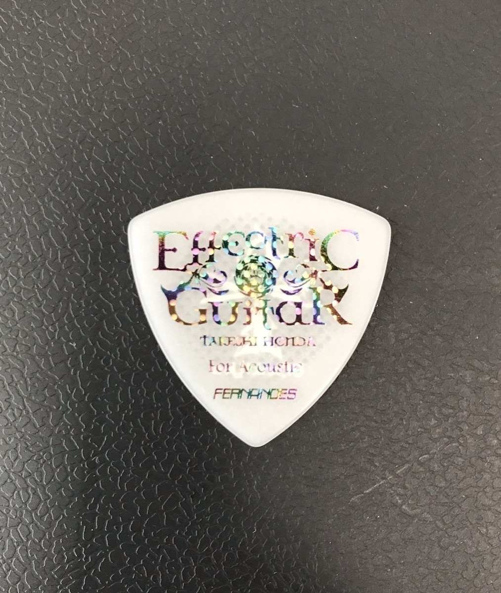 P-200 TH EG　W 2023　本田毅 シグネチャーピック  アコースティック 