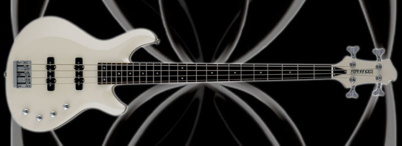 GRADUAL PWコンパクト＆オールマイティ