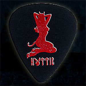 PLAYBOY HOTTIE PICK プレイボーイ・ピック 【12枚セット】