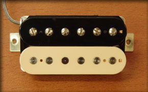 GRAY WOLF BRIDGE ZEBRA