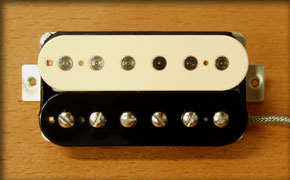 TIMBLE WOLF ZEBRAパワー系ハムバッキング